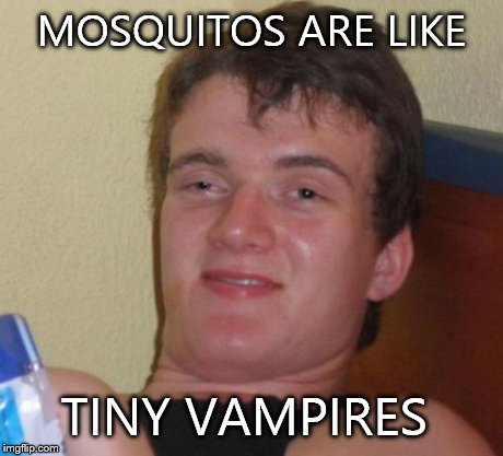 10 Guy Meme | MOSQUITOS ARE LIKE TINY VAMPIRES | image tagged in memes,10 guy | made w/ Imgflip meme maker