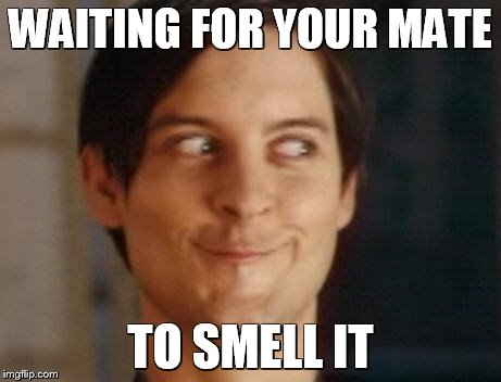 Spiderman Peter Parker Meme | WAITING FOR YOUR MATE TO SMELL IT | image tagged in memes,spiderman peter parker | made w/ Imgflip meme maker