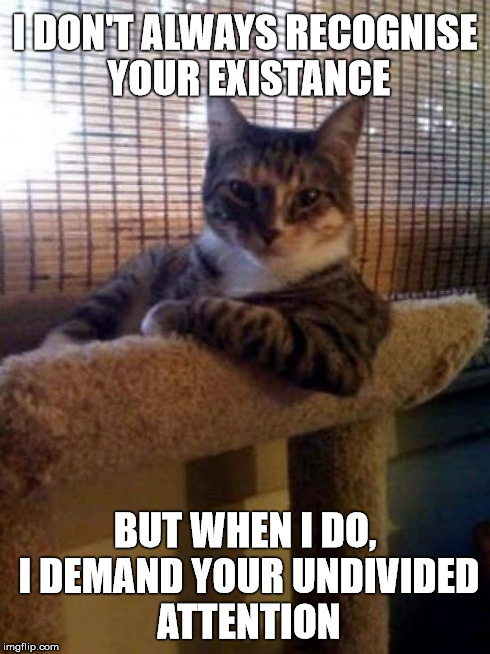 Who? | I DON'T ALWAYS RECOGNISE YOUR EXISTANCE BUT WHEN I DO, I DEMAND YOUR UNDIVIDED ATTENTION | image tagged in memes,the most interesting cat in the world | made w/ Imgflip meme maker