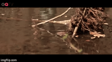 image tagged in gifs | made w/ Imgflip video-to-gif maker