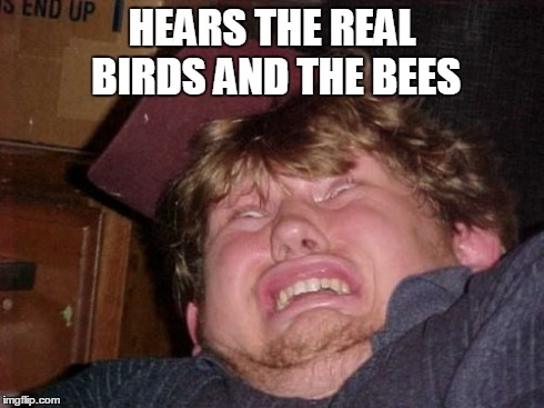 WTF Meme | HEARS THE REAL BIRDS AND THE BEES | image tagged in memes,wtf | made w/ Imgflip meme maker