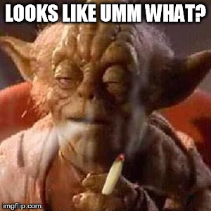 Yoda stoned | LOOKS LIKE UMM WHAT? | image tagged in yoda stoned | made w/ Imgflip meme maker