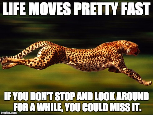 LIFE MOVES PRETTY FAST IF YOU DON'T STOP AND LOOK AROUND FOR A WHILE, YOU COULD MISS IT. | image tagged in life,thug life,college life | made w/ Imgflip meme maker