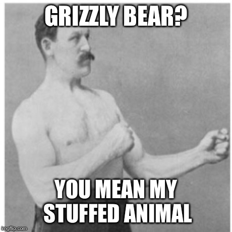 Overly Manly Man | GRIZZLY BEAR? YOU MEAN MY STUFFED ANIMAL | image tagged in memes,overly manly man | made w/ Imgflip meme maker