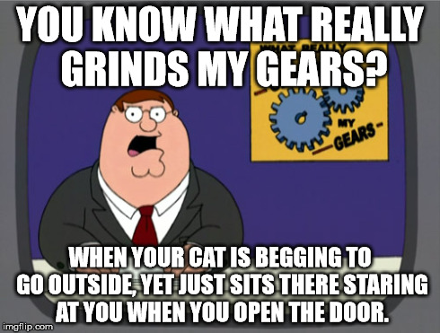 Peter Griffin News | YOU KNOW WHAT REALLY GRINDS MY GEARS? WHEN YOUR CAT IS BEGGING TO GO OUTSIDE, YET JUST SITS THERE STARING AT YOU WHEN YOU OPEN THE DOOR. | image tagged in memes,peter griffin news | made w/ Imgflip meme maker