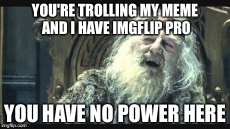 You have no power here | YOU'RE TROLLING MY MEME AND I HAVE IMGFLIP PRO YOU HAVE NO POWER HERE | image tagged in you have no power here | made w/ Imgflip meme maker