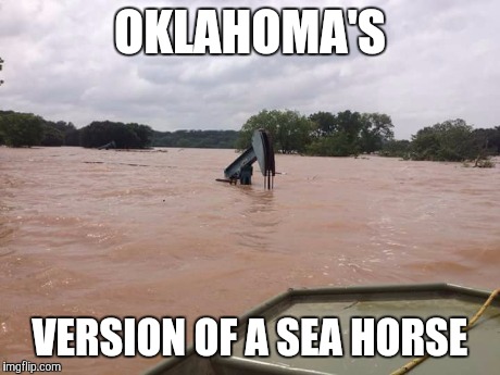 Oklahoma's sea horse | OKLAHOMA'S VERSION OF A SEA HORSE | image tagged in facebook,funny memes,comedy,funny | made w/ Imgflip meme maker
