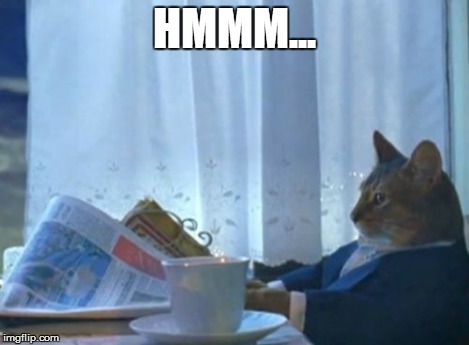 I Should Buy A Boat Cat Meme | HMMM... | image tagged in memes,i should buy a boat cat | made w/ Imgflip meme maker