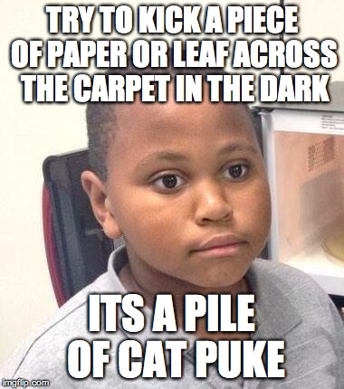 Minor Mistake Marvin Meme | TRY TO KICK A PIECE OF PAPER OR LEAF ACROSS THE CARPET IN THE DARK ITS A PILE OF CAT PUKE | image tagged in memes,minor mistake marvin,AdviceAnimals | made w/ Imgflip meme maker