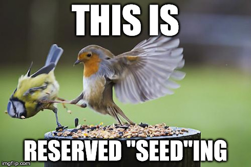 Bird Sparta | THIS IS RESERVED "SEED"ING | image tagged in bird sparta,puns | made w/ Imgflip meme maker