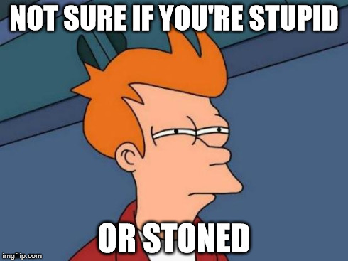 Futurama Fry | NOT SURE IF YOU'RE STUPID OR STONED | image tagged in memes,futurama fry | made w/ Imgflip meme maker