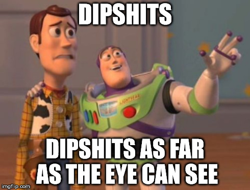 X, X Everywhere Meme | DIPSHITS DIPSHITS AS FAR AS THE EYE CAN SEE | image tagged in memes,x x everywhere | made w/ Imgflip meme maker