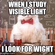 Science Cat | WHEN I STUDY VISIBLE LIGHT I LOOK FOR WIGHT | image tagged in science cat | made w/ Imgflip meme maker