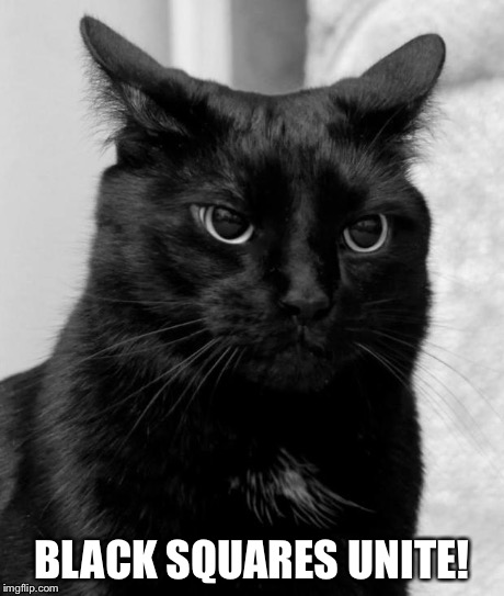 pissed cat | BLACK SQUARES UNITE! | image tagged in pissed cat | made w/ Imgflip meme maker