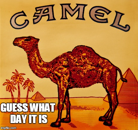 Guess What Day it is | GUESS WHAT DAY IT IS | image tagged in hump day,vince vance,camel cigarettes,wednesday,middle of the week | made w/ Imgflip meme maker