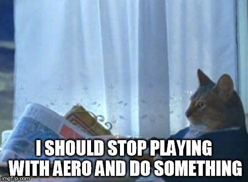 I Should Buy A Boat Cat Meme | I SHOULD STOP PLAYING WITH AERO AND DO SOMETHING | image tagged in memes,i should buy a boat cat | made w/ Imgflip meme maker