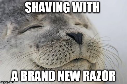 Satisfied Seal | SHAVING WITH A BRAND NEW RAZOR | image tagged in memes,satisfied seal,AdviceAnimals | made w/ Imgflip meme maker