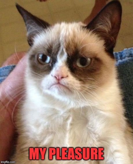Grumpy Cat Meme | MY PLEASURE | image tagged in memes,grumpy cat | made w/ Imgflip meme maker