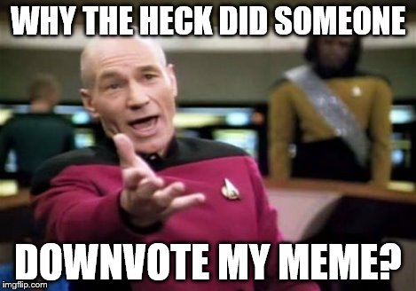 Picard Wtf Meme | WHY THE HECK DID SOMEONE DOWNVOTE MY MEME? | image tagged in memes,picard wtf | made w/ Imgflip meme maker