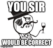 YOU SIR WOULD BE CORRECT | made w/ Imgflip meme maker