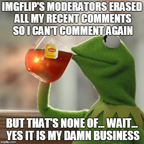 But That's None Of My Business Meme | IMGFLIP'S MODERATORS ERASED ALL MY RECENT COMMENTS SO I CAN'T COMMENT AGAIN BUT THAT'S NONE OF... WAIT... YES IT IS MY DAMN BUSINESS | image tagged in memes,but thats none of my business,kermit the frog | made w/ Imgflip meme maker