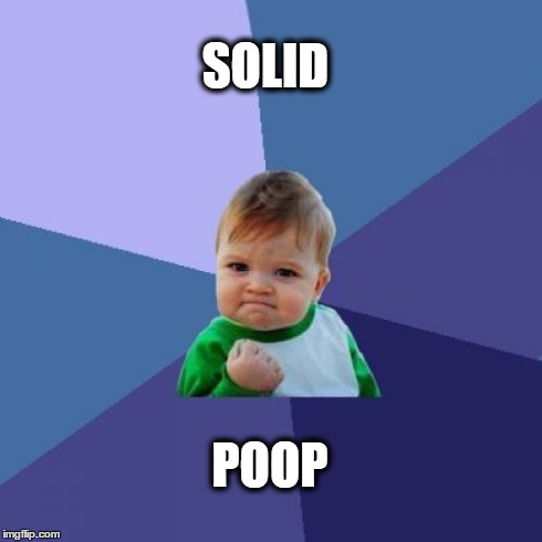 Success Kid | SOLID POOP | image tagged in memes,success kid,AdviceAnimals | made w/ Imgflip meme maker