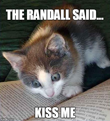 Reading cat | THE RANDALL SAID... KISS ME | image tagged in reading cat | made w/ Imgflip meme maker