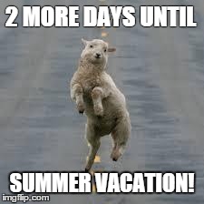 dancing sheep | 2 MORE DAYS UNTIL SUMMER VACATION! | image tagged in dancing sheep | made w/ Imgflip meme maker