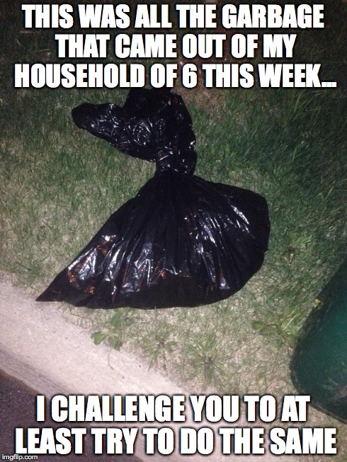 In An Effort To Reduce Our Waste; | THIS WAS ALL THE GARBAGE THAT CAME OUT OF MY HOUSEHOLD OF 6 THIS WEEK... I CHALLENGE YOU TO AT LEAST TRY TO DO THE SAME | image tagged in garbage,awareness | made w/ Imgflip meme maker