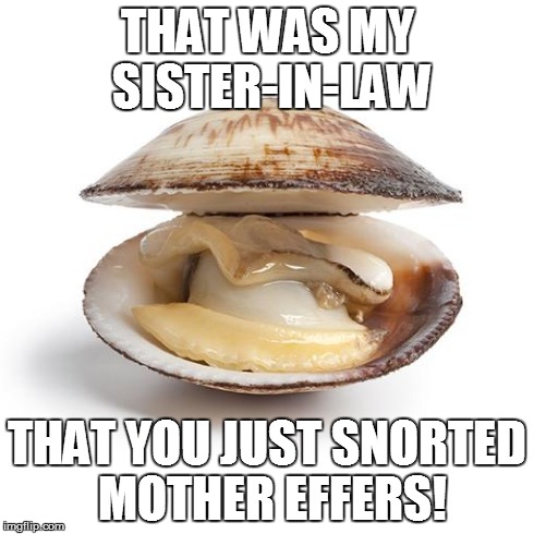 clam | THAT WAS MY SISTER-IN-LAW THAT YOU JUST SNORTED MOTHER EFFERS! | image tagged in clam | made w/ Imgflip meme maker