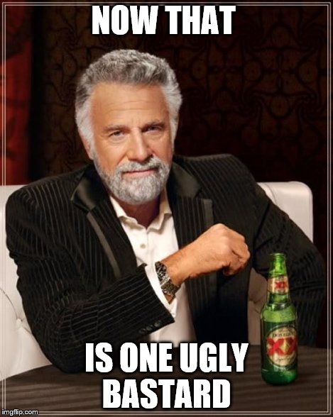 The Most Interesting Man In The World Meme | NOW THAT IS ONE UGLY BASTARD | image tagged in memes,the most interesting man in the world | made w/ Imgflip meme maker