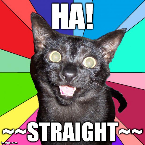 Hey You! Cat Byron | HA! ~~STRAIGHT~~ | image tagged in hey you cat byron | made w/ Imgflip meme maker