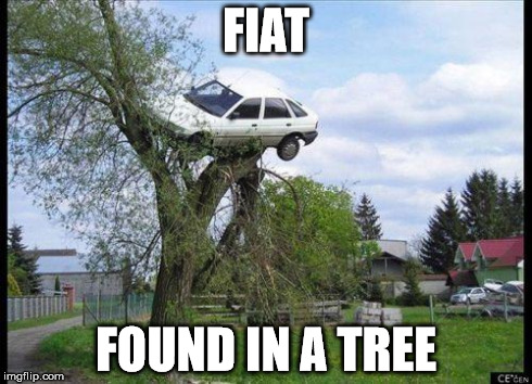 car in tree | FIAT FOUND IN A TREE | image tagged in car in tree | made w/ Imgflip meme maker