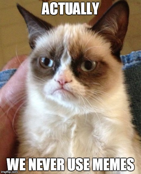 Grumpy Cat Meme | ACTUALLY WE NEVER USE MEMES | image tagged in memes,grumpy cat | made w/ Imgflip meme maker