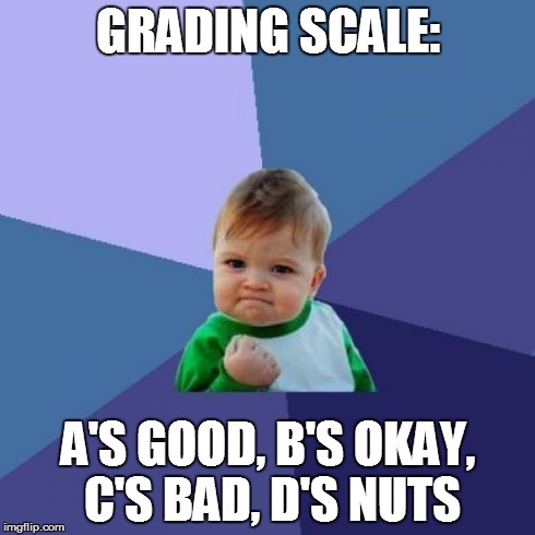 Success Kid Meme | GRADING SCALE: A'S GOOD, B'S OKAY, C'S BAD, D'S NUTS | image tagged in memes,success kid | made w/ Imgflip meme maker