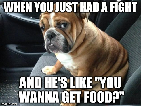 bulldog | WHEN YOU JUST HAD A FIGHT AND HE'S LIKE "YOU WANNA GET FOOD?" | image tagged in bulldog | made w/ Imgflip meme maker