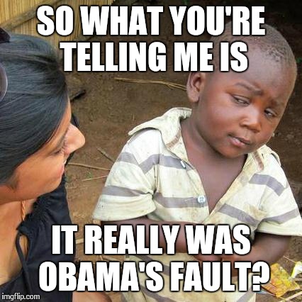 According To Bush  | SO WHAT YOU'RE TELLING ME IS IT REALLY WAS OBAMA'S FAULT? | image tagged in memes,third world skeptical kid | made w/ Imgflip meme maker