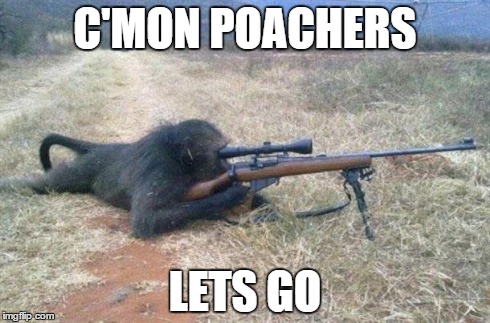 Sniper monkey | C'MON POACHERS LETS GO | image tagged in sniper monkey | made w/ Imgflip meme maker