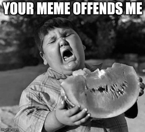 butthurt boy | YOUR MEME OFFENDS ME | image tagged in waah,cry,kid | made w/ Imgflip meme maker