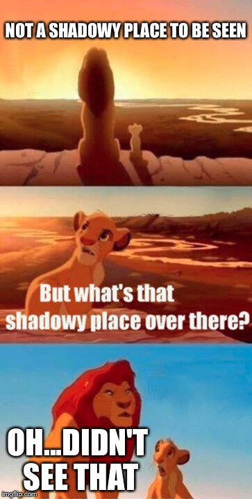 Simba Shadowy Place Meme | NOT A SHADOWY PLACE TO BE SEEN OH...DIDN'T SEE THAT | image tagged in memes,simba shadowy place | made w/ Imgflip meme maker