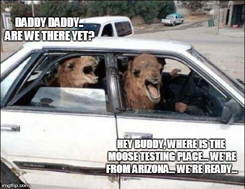 Quit Hatin Meme | DADDY DADDY.. ARE WE THERE YET? HEY BUDDY, WHERE IS THE MOOSE TESTING PLACE... WE'RE FROM ARIZONA... WE'RE READY... | image tagged in memes,quit hatin | made w/ Imgflip meme maker