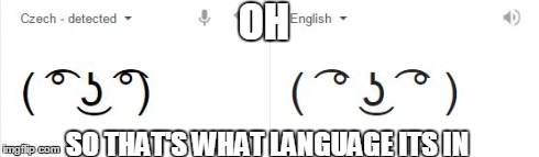 Le lenny is le Czechy confirmed | OH SO THAT'S WHAT LANGUAGE ITS IN | image tagged in memes,funny | made w/ Imgflip meme maker