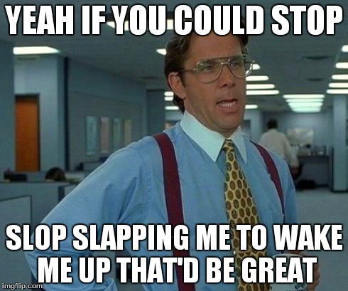 That Would Be Great Meme | YEAH IF YOU COULD STOP SLOP SLAPPING ME TO WAKE ME UP
THAT'D BE GREAT | image tagged in memes,that would be great | made w/ Imgflip meme maker