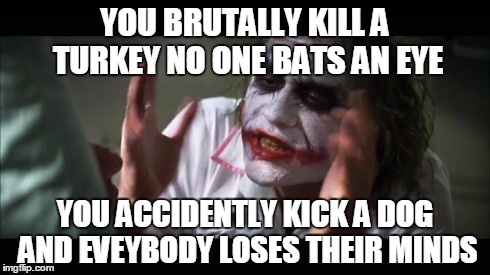 And everybody loses their minds Meme | YOU BRUTALLY KILL A TURKEY NO ONE BATS AN EYE YOU ACCIDENTLY KICK A DOG AND EVEYBODY LOSES THEIR MINDS | image tagged in memes,and everybody loses their minds | made w/ Imgflip meme maker