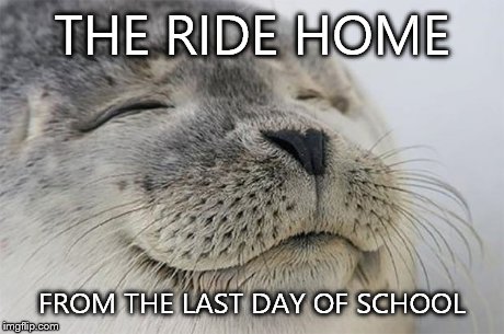 Satisfied Seal Meme | THE RIDE HOME FROM THE LAST DAY OF SCHOOL | image tagged in memes,satisfied seal | made w/ Imgflip meme maker