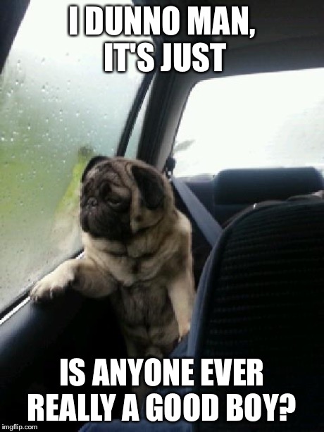 Introspective Pug | I DUNNO MAN, IT'S JUST IS ANYONE EVER REALLY A GOOD BOY? | image tagged in introspective pug | made w/ Imgflip meme maker