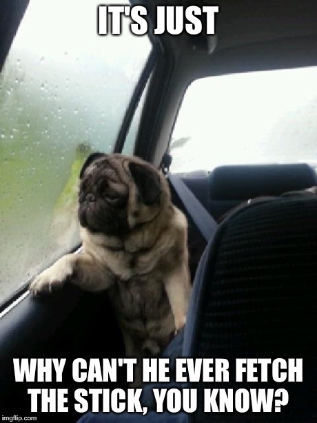Introspective Pug | IT'S JUST WHY CAN'T HE EVER FETCH THE STICK, YOU KNOW? | image tagged in introspective pug | made w/ Imgflip meme maker