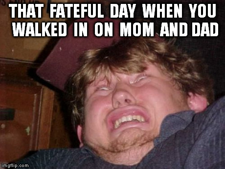 WTF Meme | THAT  FATEFUL  DAY  WHEN  YOU  WALKED  IN  ON  MOM  AND DAD | image tagged in memes,wtf | made w/ Imgflip meme maker