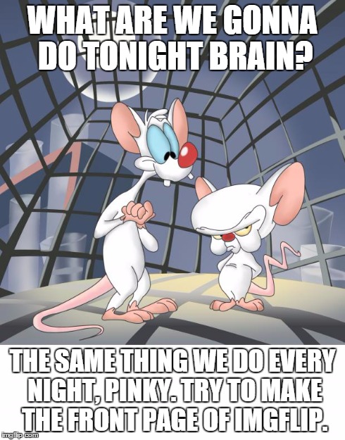 Pinky and the brain | WHAT ARE WE GONNA DO TONIGHT BRAIN? THE SAME THING WE DO EVERY NIGHT, PINKY. TRY TO MAKE THE FRONT PAGE OF IMGFLIP. | image tagged in pinky and the brain,imgflip,front page | made w/ Imgflip meme maker