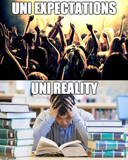 Uni expectations vs reality | UNI EXPECTATIONS UNI REALITY | image tagged in uni,university,college | made w/ Imgflip meme maker